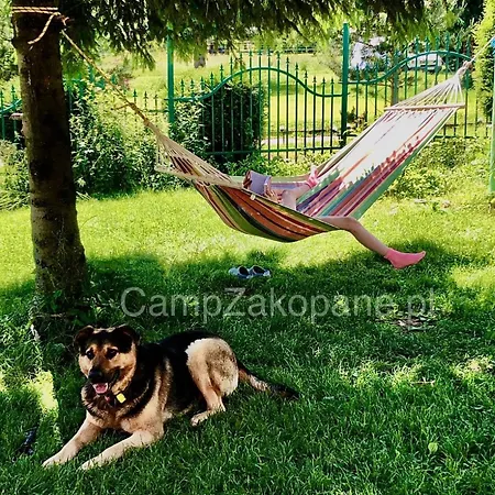 Goscinne I Duzy Camp Harenda Z Epickim Widokiem Na Tatry I Giewont * Zakopane