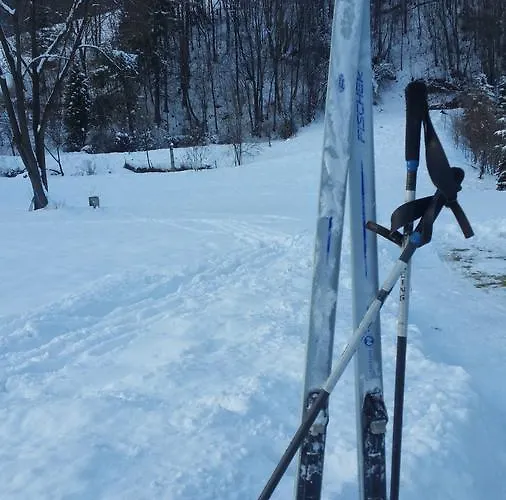Goscinne I Campharenda Homestay szállás