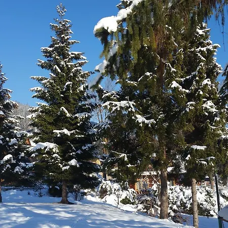 Accommodatie bij particulieren Harenda Goscinne I